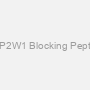 CYP2W1 Blocking Peptide